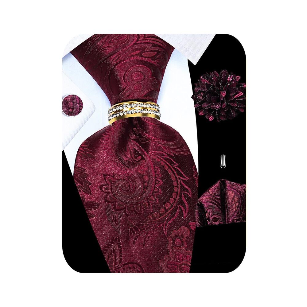 3863 5PCS Burgundy Paisley Tie Pocket Square , Silk Necktie